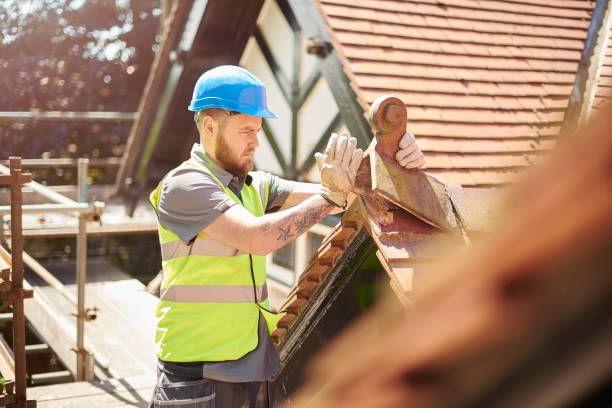 Best Roof Gutter Cleaning  in North Decatur, GA